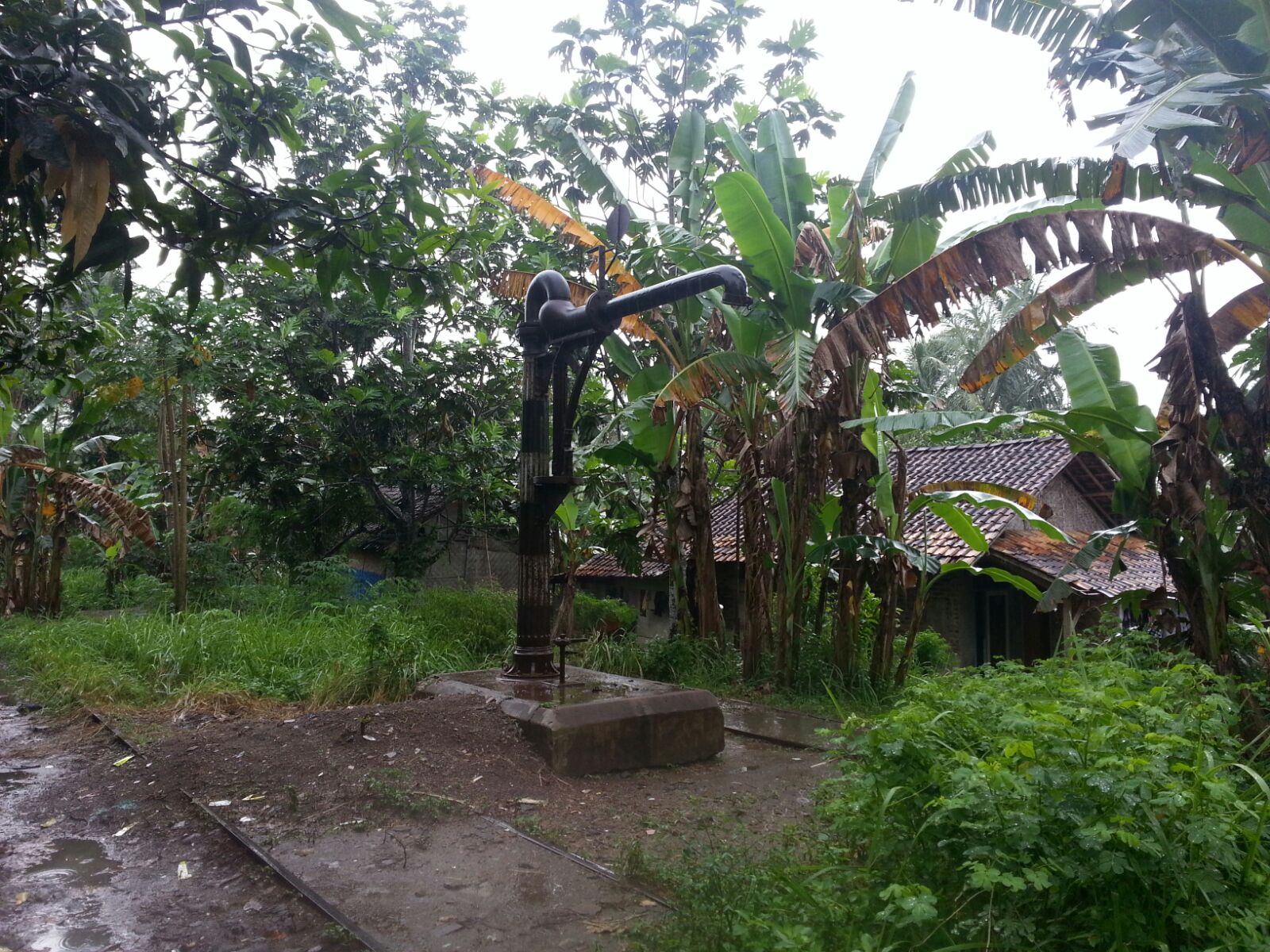 Telusur Jalur Non Aktif Rangkasbitung – Labuan