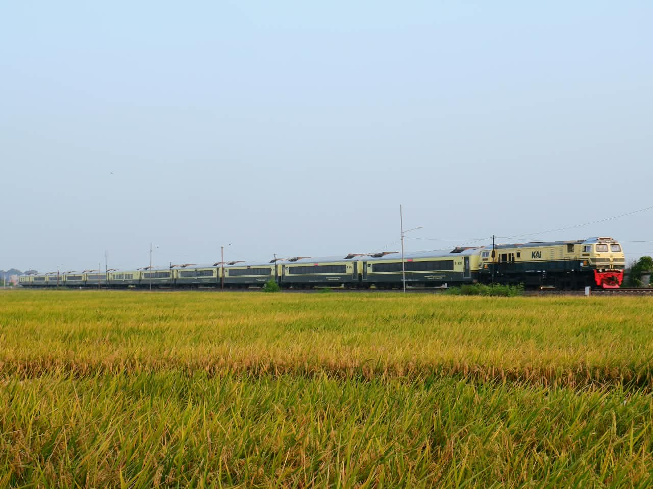 muria vintage livery
